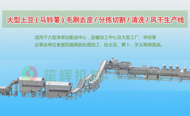 广平连续式土豆去皮清洗切割风干生产线